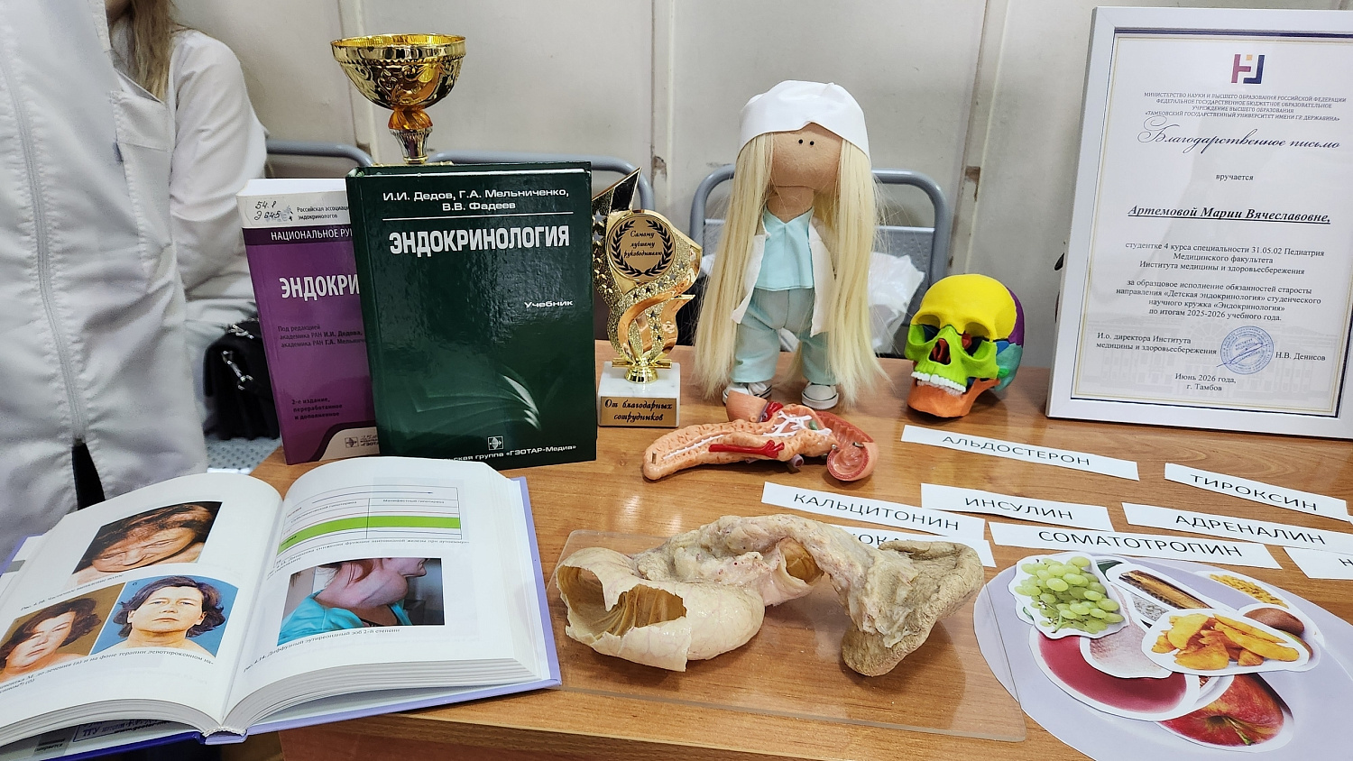 Derzhavin University Hosts a Week of Presentations by Student Research Groups
