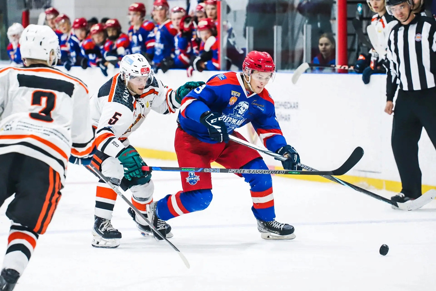 HC Derzhava Wins Bronze at the SHL "Regions Cup – Center"
