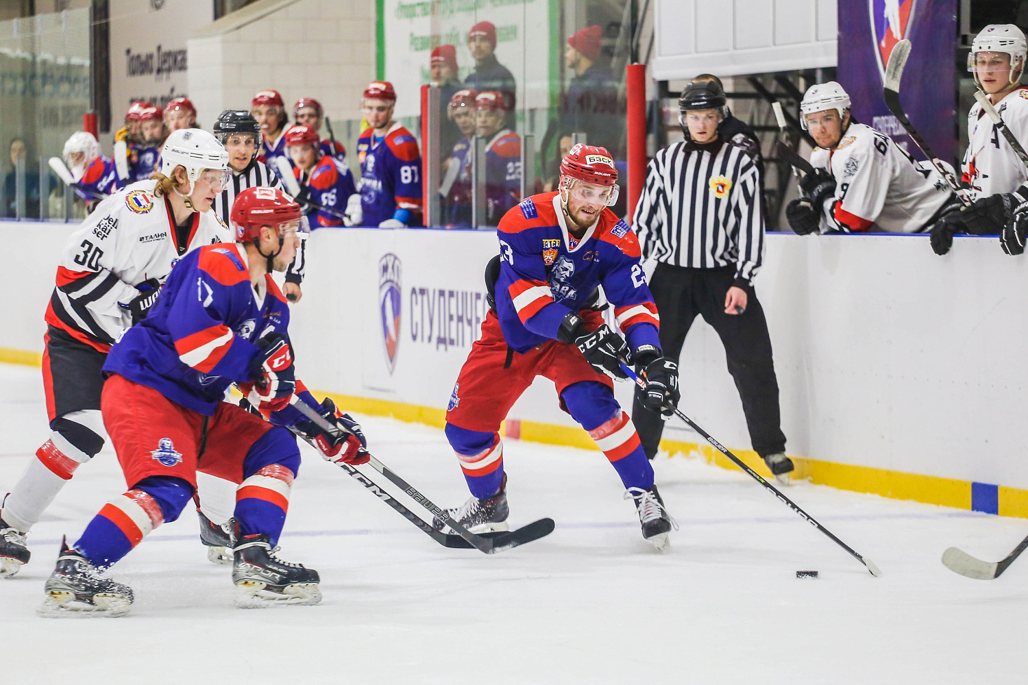 The New Season of the Student Hockey League has Started at the Skating Rink of Derzhavin University